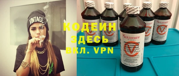 ешки Алзамай