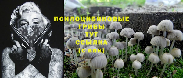 спайс Алексеевка