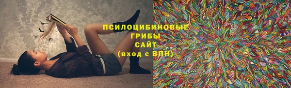 ешки Алзамай