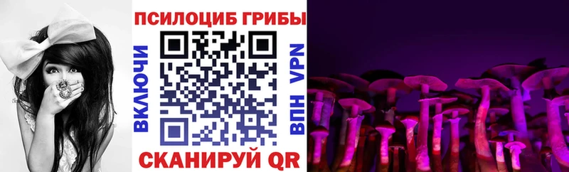 Псилоцибиновые грибы MAGIC MUSHROOMS  наркотики  Воткинск 