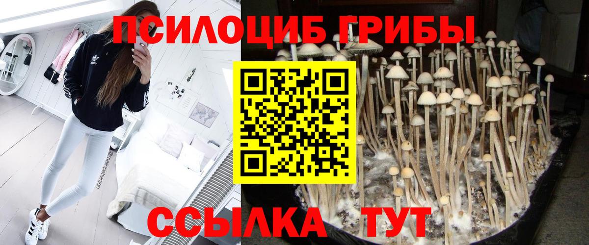 Псилоцибиновые грибы Magic Shrooms  Вход с VPN  Псилоцибиновые грибы Psilocybe  Воткинск 
